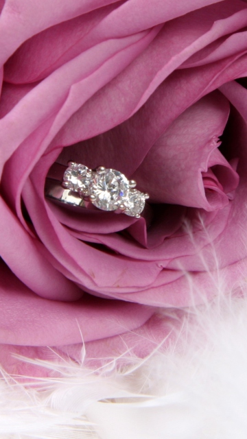 Das Engagement Ring In Pink Rose Wallpaper 360x640
