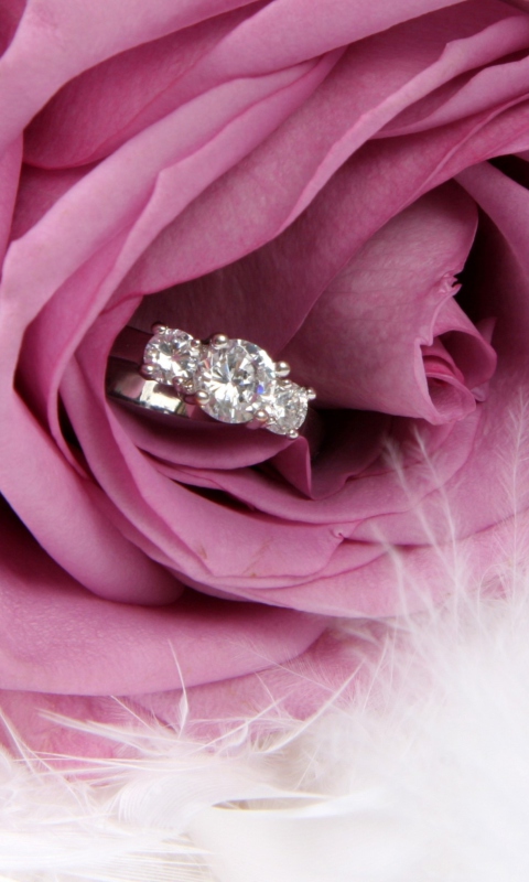 Fondo de pantalla Engagement Ring In Pink Rose 480x800