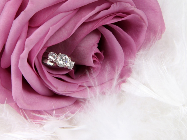 Engagement Ring In Pink Rose wallpaper 640x480