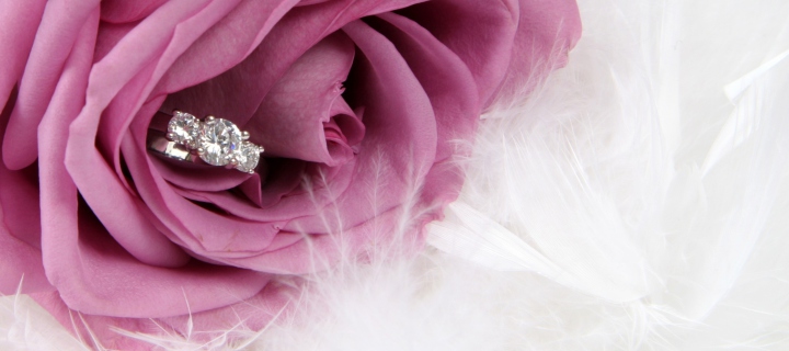 Sfondi Engagement Ring In Pink Rose 720x320