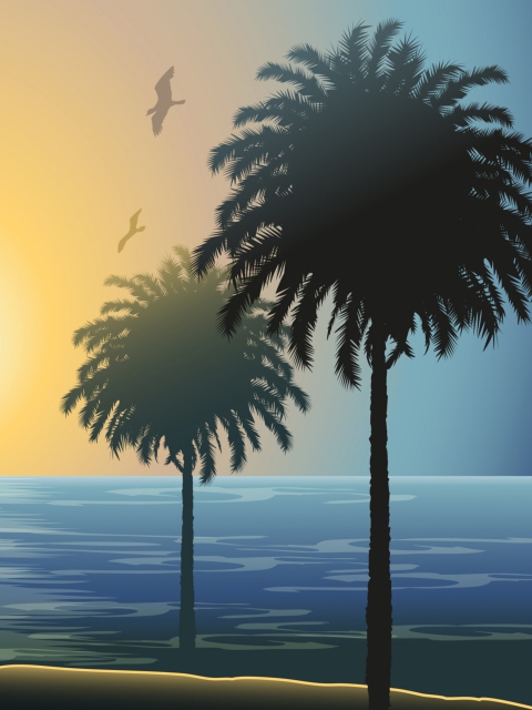 Das Sunset Behind Palm Trees Drawing Wallpaper 480x640