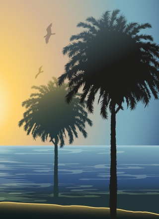 Sunset Behind Palm Trees Drawing - Obrázkek zdarma pro Nokia C2-06