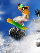 Das Snowboard Freeride Wallpaper 132x176
