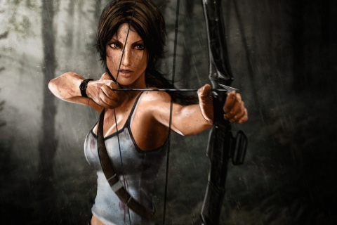 Das Tomb Raider Wallpaper 480x320