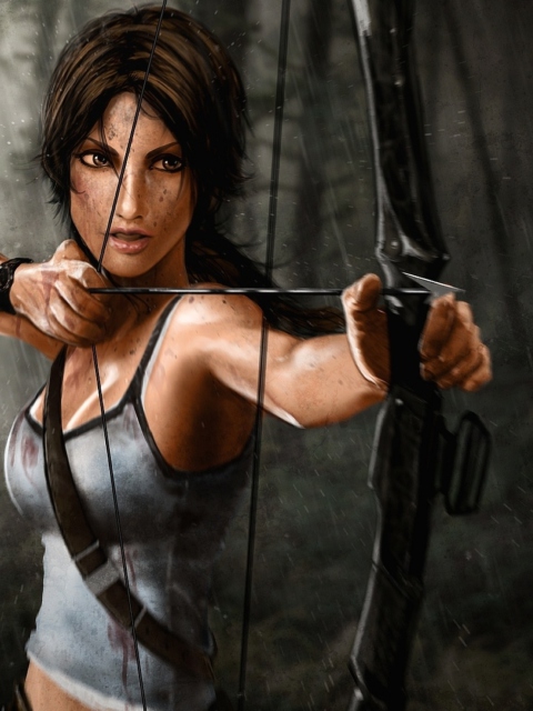 Tomb Raider wallpaper 480x640