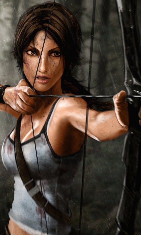 Fondo de pantalla Tomb Raider 480x800