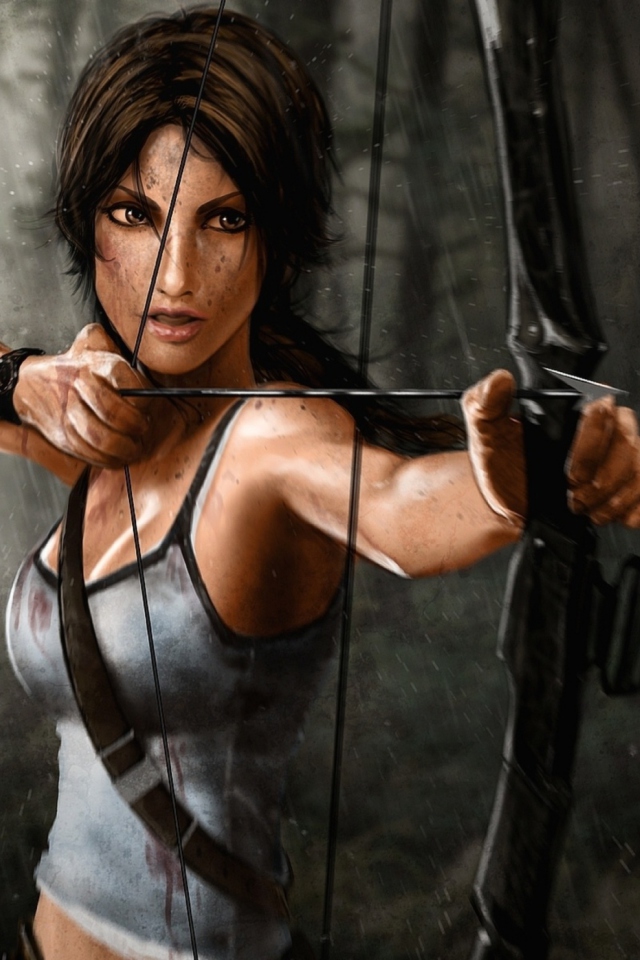 Fondo de pantalla Tomb Raider 640x960