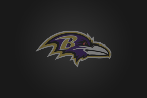 Screenshot №1 pro téma Baltimore Ravens 480x320