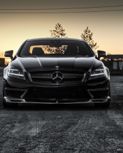 Screenshot №1 pro téma Carlsson Tuning for Mercedes Benz 176x220