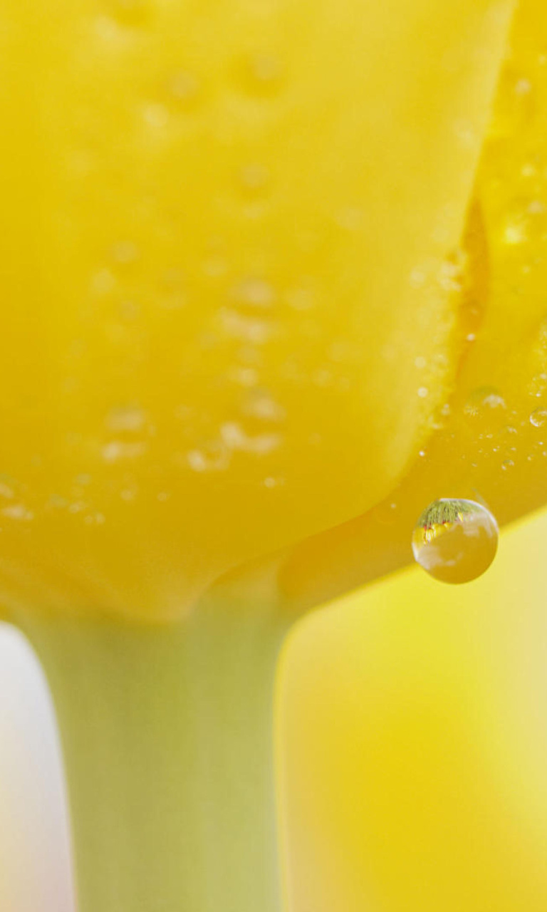 Macro Yellow Water Drops wallpaper 768x1280