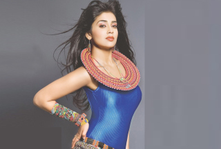 Shriya Saran In Jewellery Picture for Android, iPhone and iPad