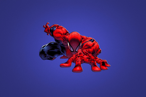 Das Spiderman Wallpaper 480x320