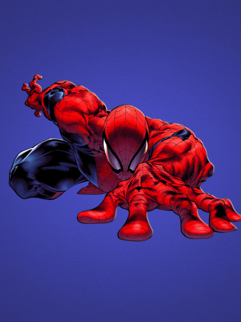 Обои Spiderman 480x640