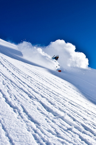 Fondo de pantalla Alpine Skiing 320x480