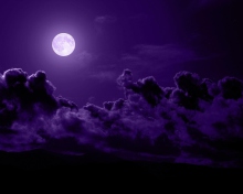 Sfondi Purple Moon 220x176