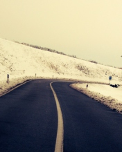 Winter Road screenshot #1 176x220