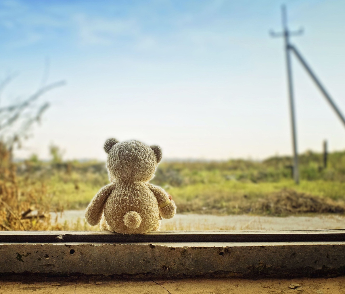 Lonely Teddy wallpaper 1200x1024