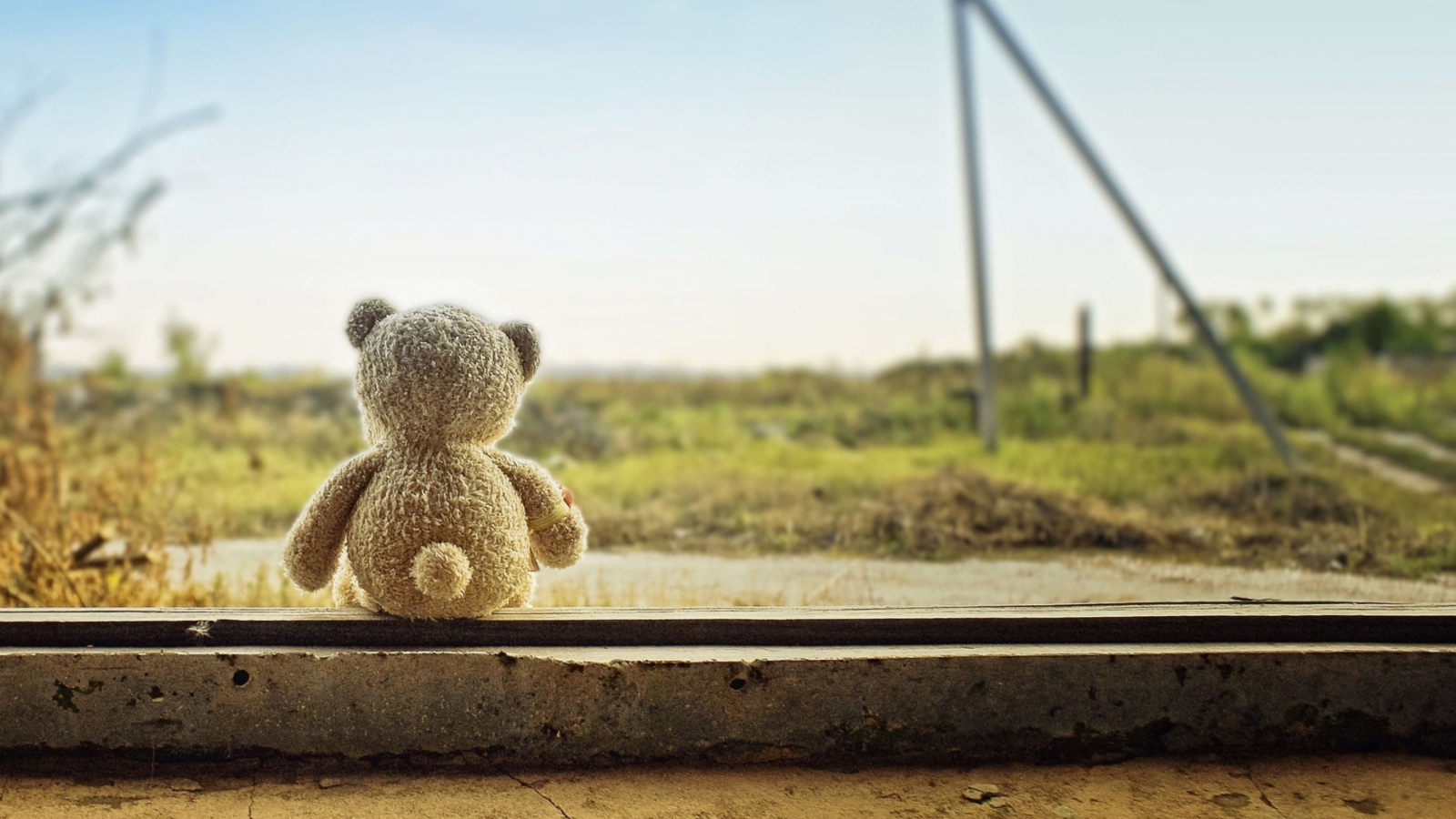 Sfondi Lonely Teddy 1600x900