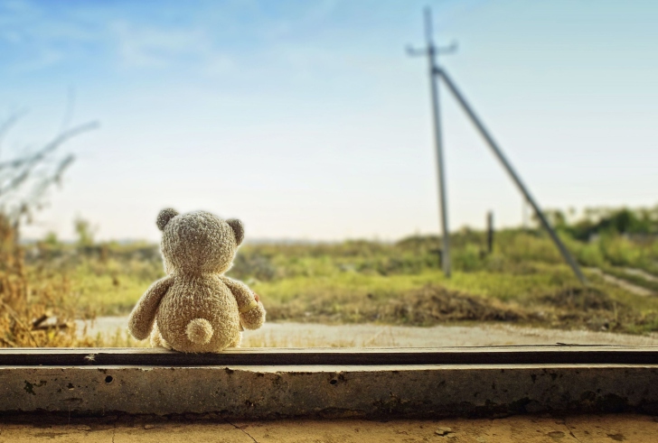 Screenshot №1 pro téma Lonely Teddy
