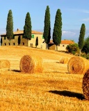 Haystack in Italy screenshot #1 128x160