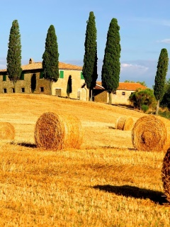 Haystack in Italy wallpaper 240x320