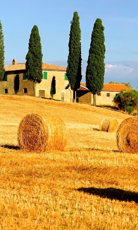 Haystack in Italy screenshot #1 480x800