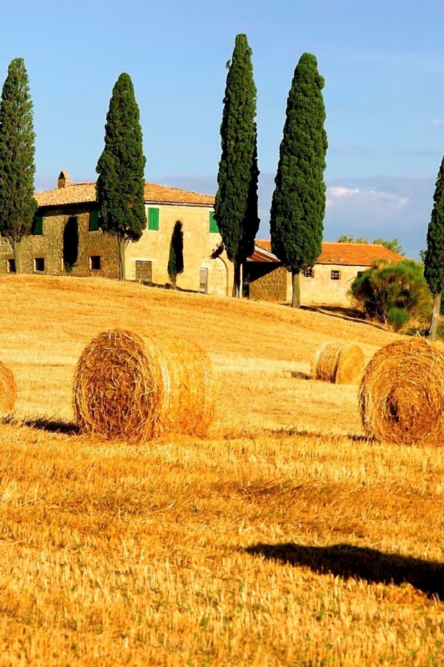 Haystack in Italy screenshot #1 640x960