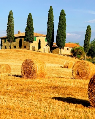 Haystack in Italy Background for 240x320