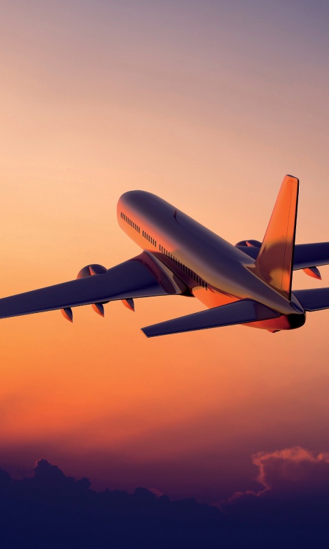 Airplane in Sky wallpaper 480x800