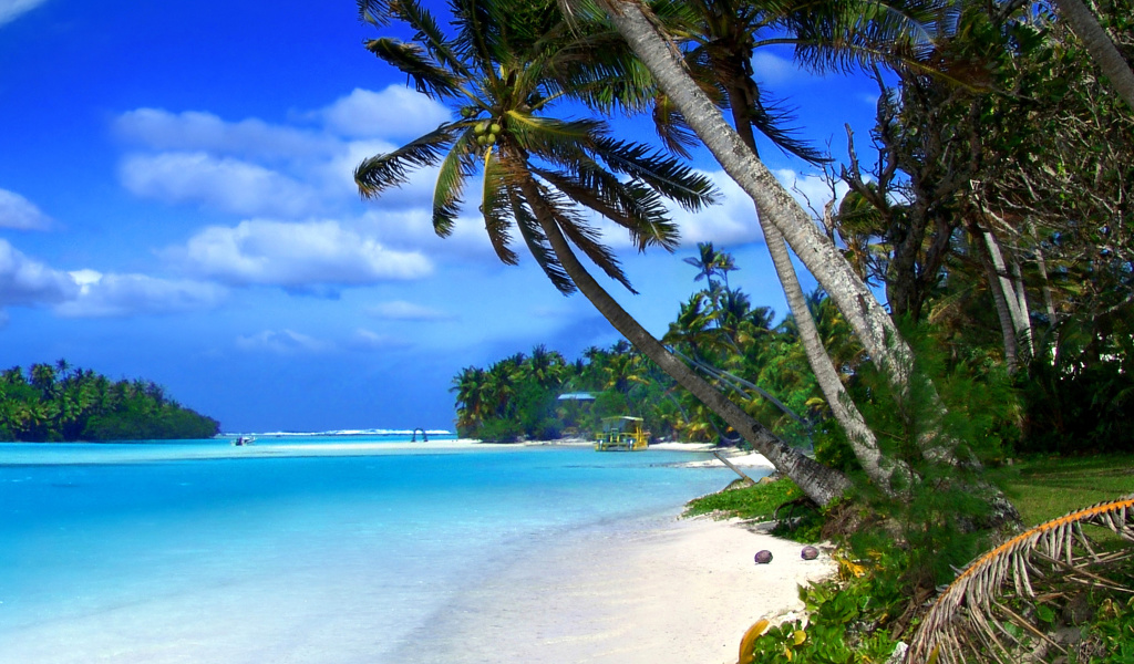 Beach on Cayman Islands wallpaper 1024x600