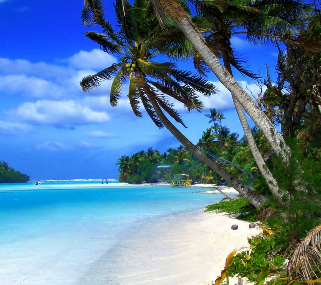 Обои Beach on Cayman Islands 1080x960
