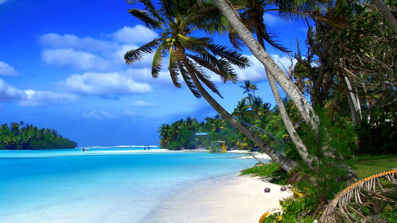 Обои Beach on Cayman Islands 1280x720