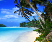Fondo de pantalla Beach on Cayman Islands 176x144