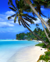 Fondo de pantalla Beach on Cayman Islands 176x220
