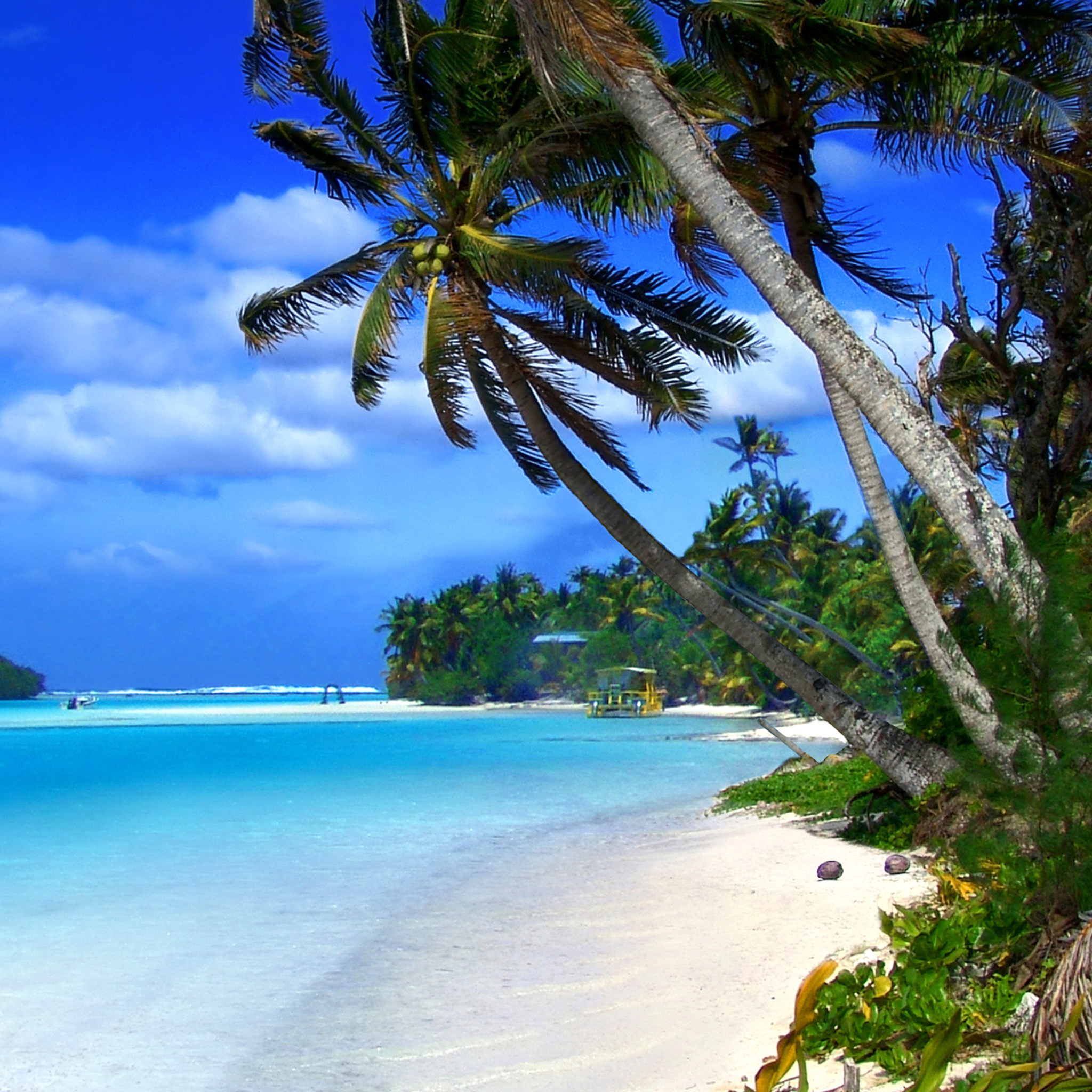 Fondo de pantalla Beach on Cayman Islands 2048x2048