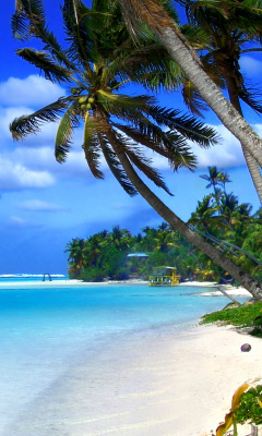 Fondo de pantalla Beach on Cayman Islands 240x400