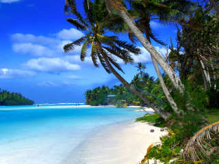 Screenshot №1 pro téma Beach on Cayman Islands 320x240