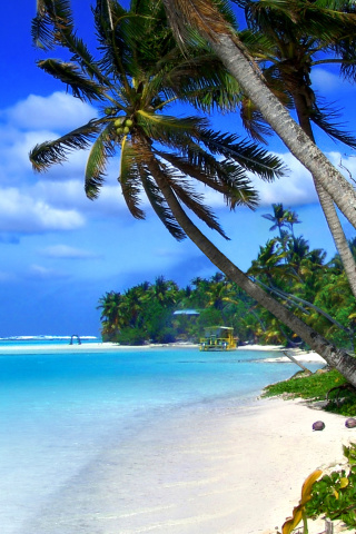 Fondo de pantalla Beach on Cayman Islands 320x480