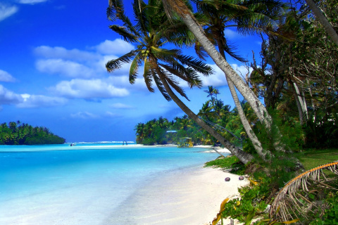 Обои Beach on Cayman Islands 480x320