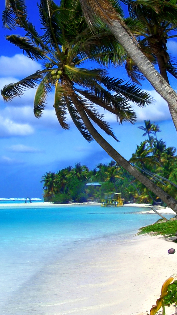 Обои Beach on Cayman Islands 750x1334