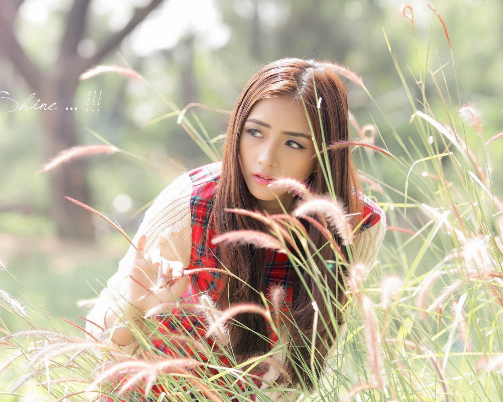Asian Girl In Field screenshot #1 1600x1280