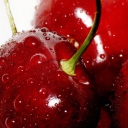 Das Deliciour Cherries Wallpaper 128x128
