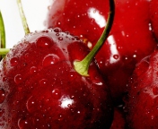 Das Deliciour Cherries Wallpaper 176x144