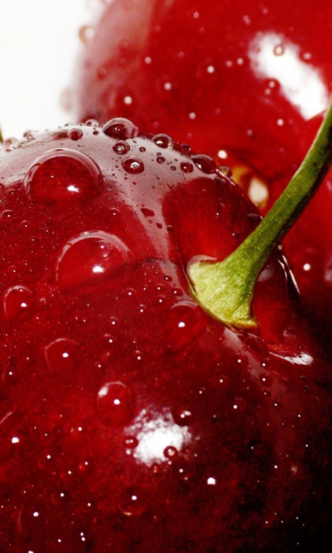 Deliciour Cherries wallpaper 480x800