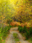 Autumn Path screenshot #1 132x176