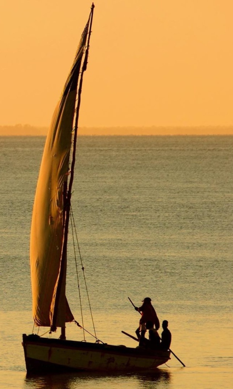 Sailing In Ocean screenshot #1 480x800