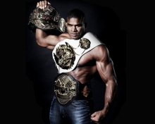 Alistair Overeem Mma Ufc Fighter Mixed wallpaper 220x176