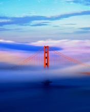 San Francisco Golden Gate Bridge wallpaper 176x220