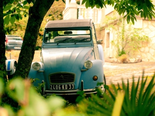 Citroen wallpaper 320x240