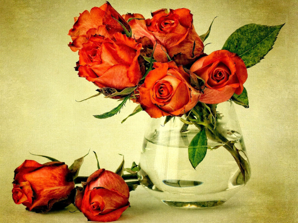 Fondo de pantalla Beautiful Roses 1024x768